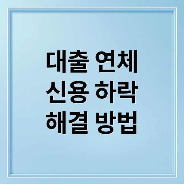 대출 연체
신용 하락
해결 방법 (대출 연체 신용불량 방지)