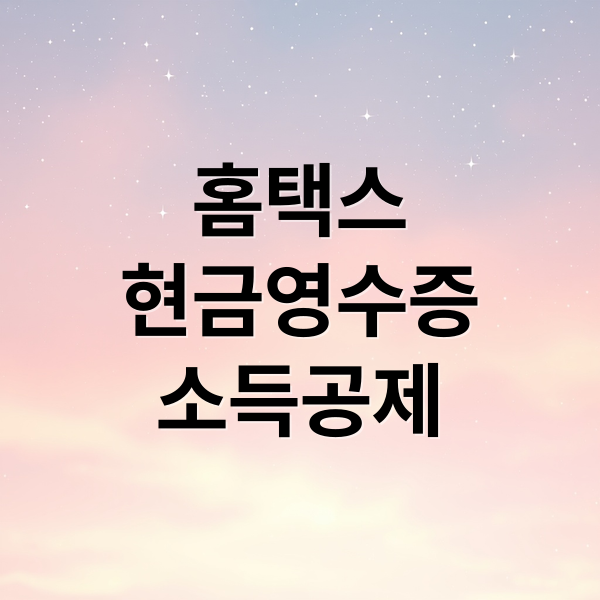 홈택스
현금영수증
소득공제 (홈택스 현금영수증 조회)