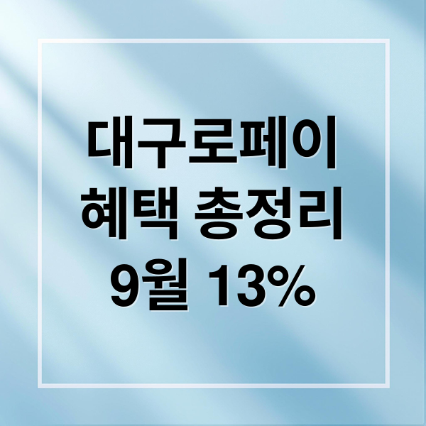 대구로페이
혜택 총정리
9월 13% (대구로페이 카드 발급 대상 및 신청 가맹점)