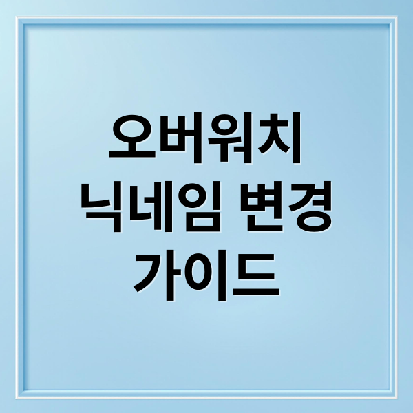 오버워치
닉네임 변경
가이드 (배틀넷 닉네임 변경)