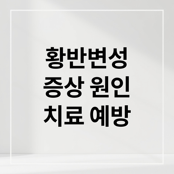 황반변성
증상 원인
치료 예방 (황반변성 증상)