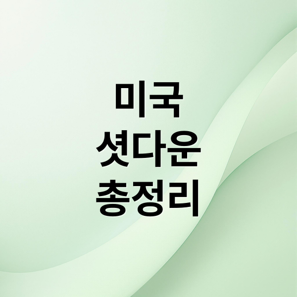 미국
셧다운
총정리 (미국 주식 셧다운 금값)