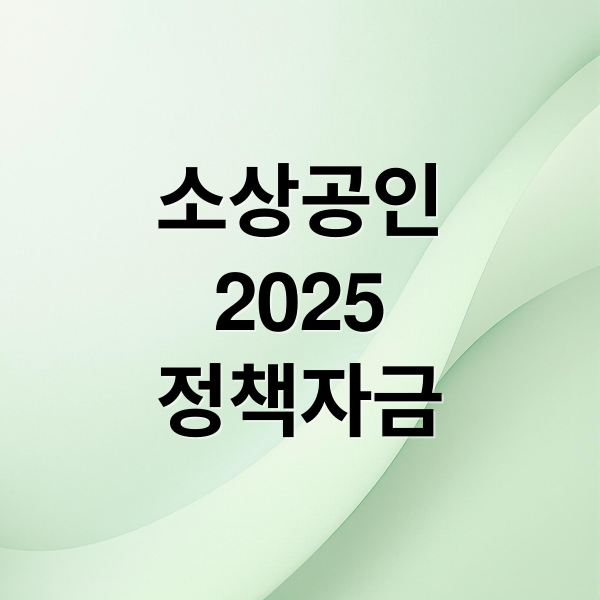 소상공인
2025
정책자금 (소상공인 정책자금 대출한도)