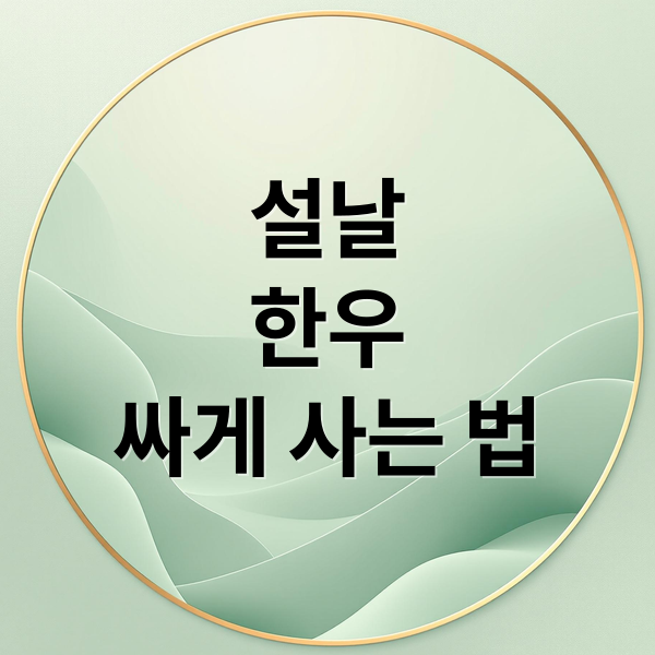 설날
한우
싸게 사는 법 (설 명절 한우 할인)