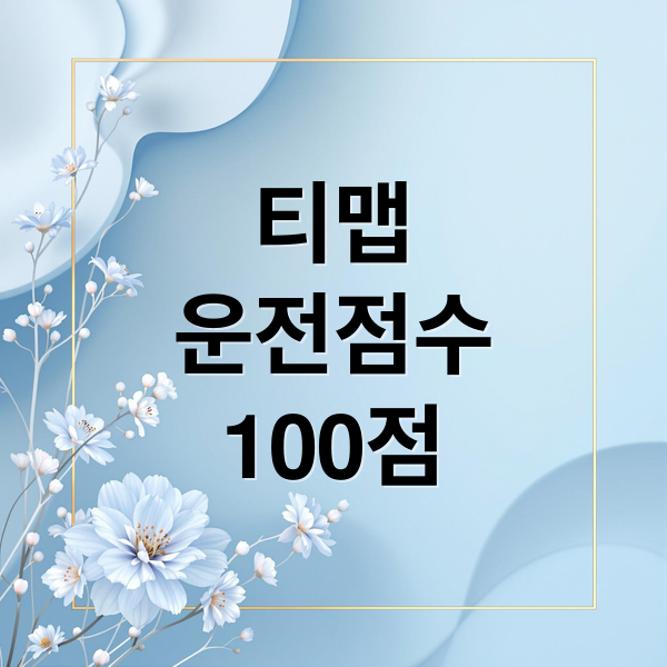 티맵
운전점수
100점 (티맵 운전점수 초기화)