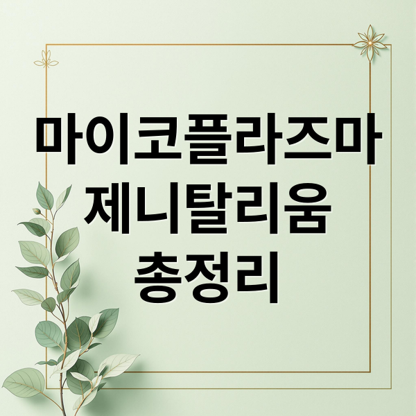 마이코플라즈마
제니탈리움
총정리 (마이코플라즈마 제니탈리움 증상 치료)