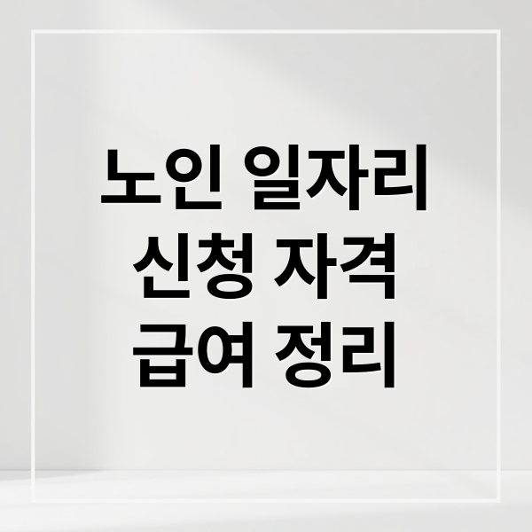 노인 일자리
신청 자격
급여 정리 (노인일자리 신청방법)