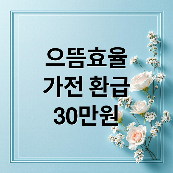 으뜸효율
가전 환급
30만원 (으뜸효율 가전 30만원 환급)