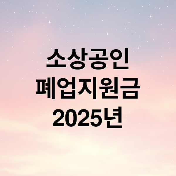 소상공인
폐업지원금
2025년 (폐업지원금)