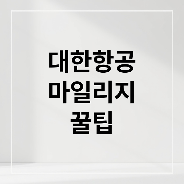 대한항공
마일리지
꿀팁 (대한항공 마일리지 사용방법)