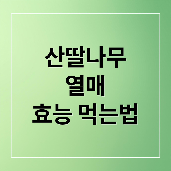 산딸나무
열매
효능 먹는법 (산딸나무 열매 효능)