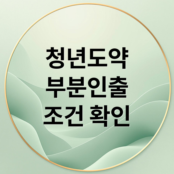 청년도약
부분인출
조건 확인 (청년도약계좌 부분인출)