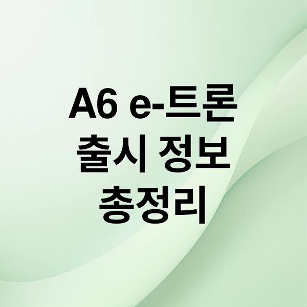 A6 e-트론
출시 정보
총정리 (아우디 A6 e-트론)