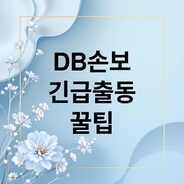 DB손보
긴급출동
꿀팁 (동부화재 다이렉트 자동차보험 긴급출동)