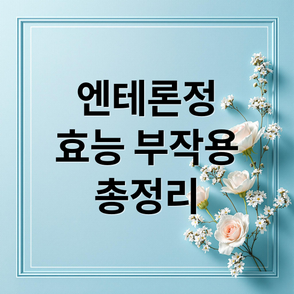 엔테론정
효능 부작용
총정리 (엔테론정)