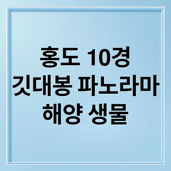 홍도 10경
깃대봉 파노라마
해양 생물 (전남 홍도 신안 해상국립공원)