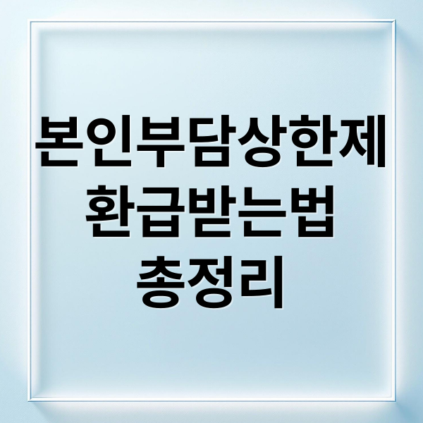 본인부담상한제
환급받는법
총정리 (본인부담상한제 환급 신청 방법)