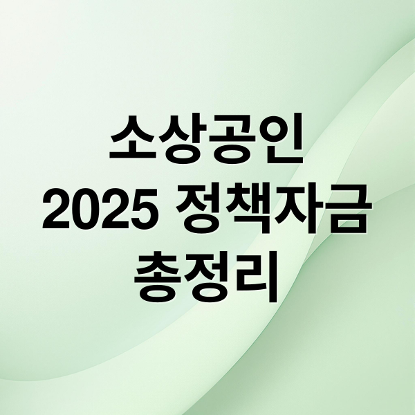 소상공인
2025 정책자금
총정리 (소상공인 정책자금)