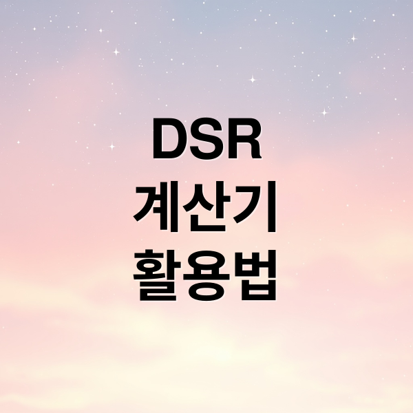DSR
계산기
활용법 (DSR 계산기)