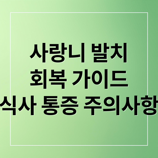 사랑니 발치
회복 가이드
식사 통증 주의사항 (사랑니 발치 후 식사 관리법)