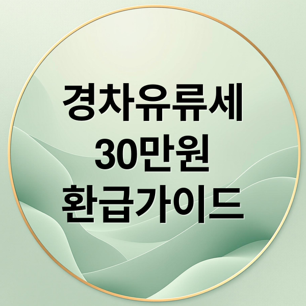 경차유류세
30만원
환급가이드 (주유비 30만원 환급)