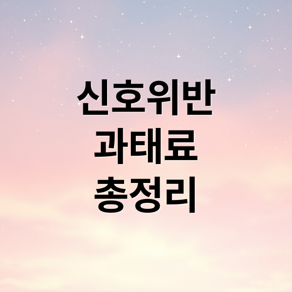 신호위반
과태료
총정리 (신호위반 과태료 이의신청)