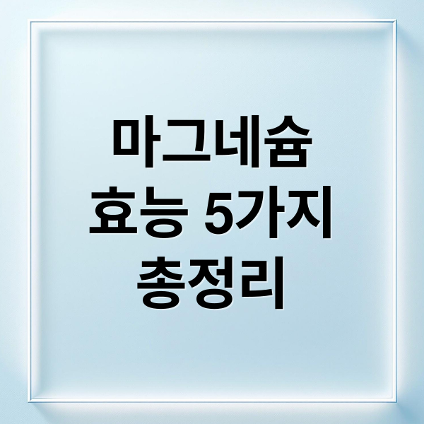 마그네슘
효능 5가지
총정리 (마그네슘 효능 5가지 부족 증상)