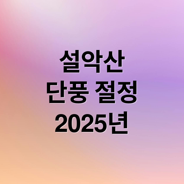 설악산
단풍 절정
2025년 (설악산 날씨 등산코스 케이블카 단풍)
