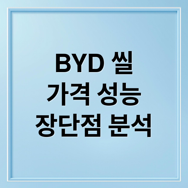 BYD 씰
가격 성능
장단점 분석 (BYD 씰)
