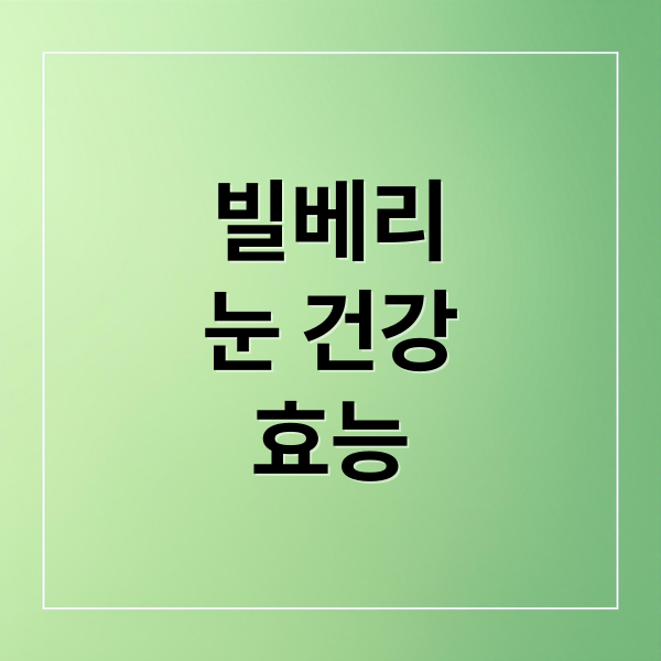 빌베리
눈 건강
효능 (빌베리 효능)
