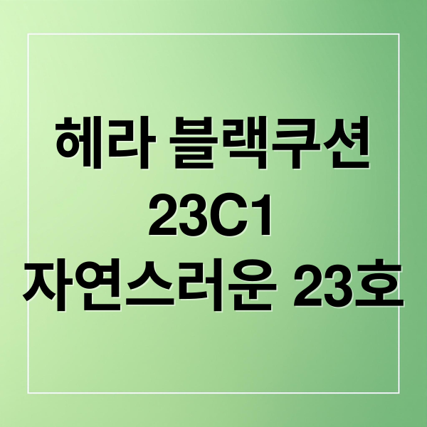 헤라 블랙쿠션
23C1
자연스러운 23호 (헤라 블랙쿠션 23C1 리뷰)