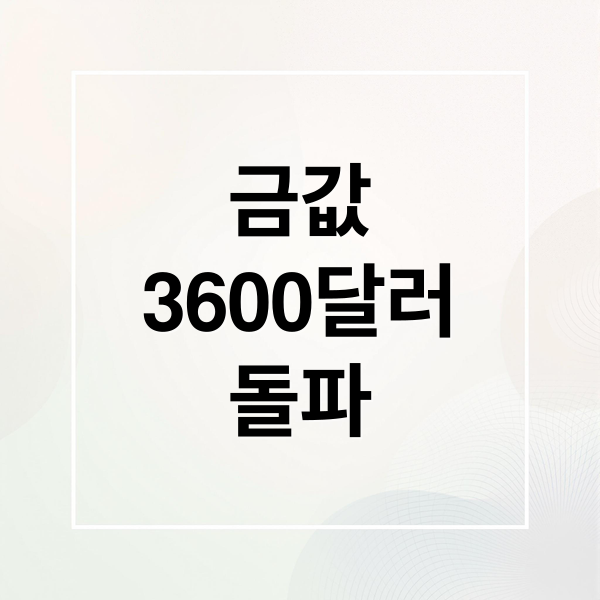 금값
3600달러
돌파 (금값 3600달러 최고치)