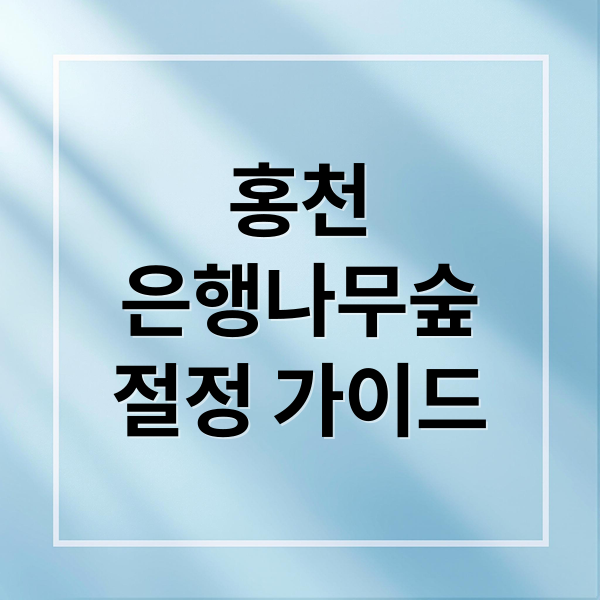 홍천
은행나무숲
절정 가이드 (홍천 은행나무숲 10월 개방)