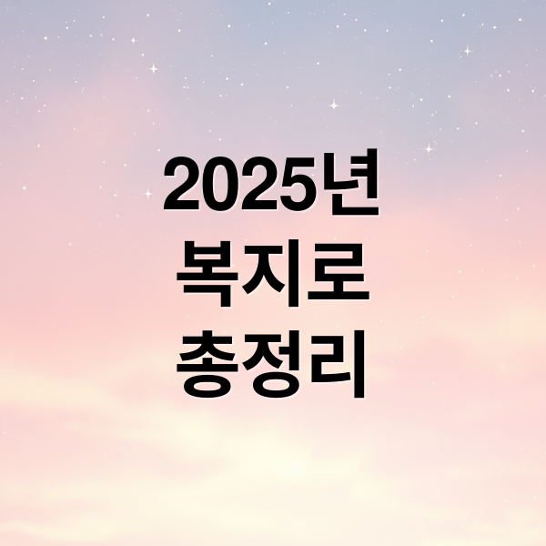 2025년
복지로
총정리 (복지로 맞춤 지원금)