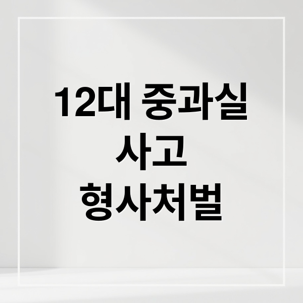 12대 중과실
사고
형사처벌 (12대 중과실 사고 형사처벌)