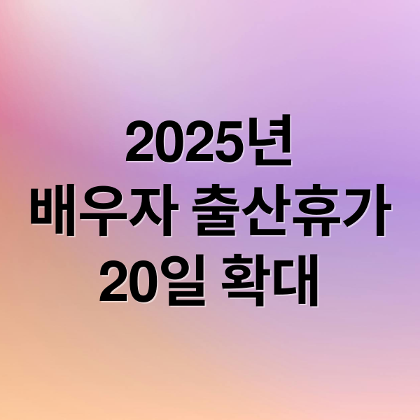 2025년
배우자 출산휴가
20일 확대 (배우자 출산휴가 급여신청)