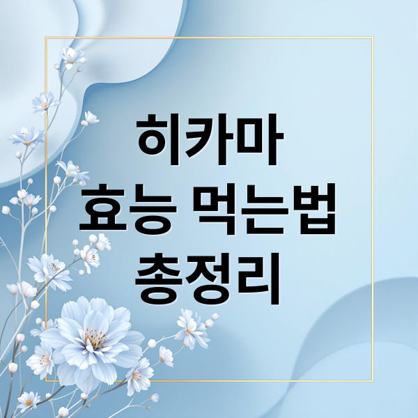 히카마
효능 먹는법
총정리 (히카마 먹는법)