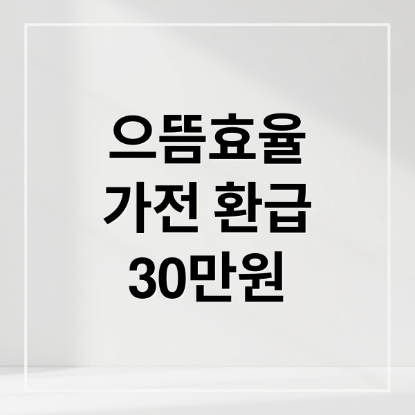 으뜸효율
가전 환급
30만원 (으뜸효율 가전 30만원 환급)