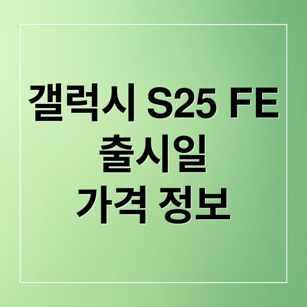 갤럭시 S25 FE
출시일
가격 정보 (갤럭시 S25 FE 출시일)