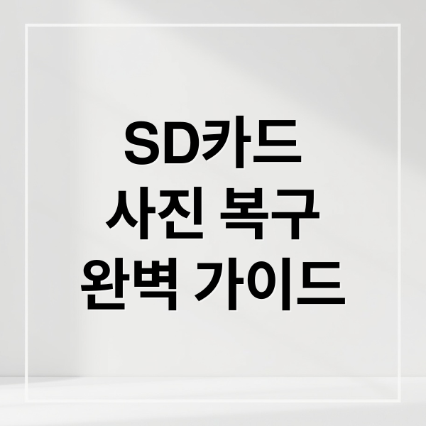 SD카드
사진 복구
완벽 가이드 (SD카드 복구 무료)