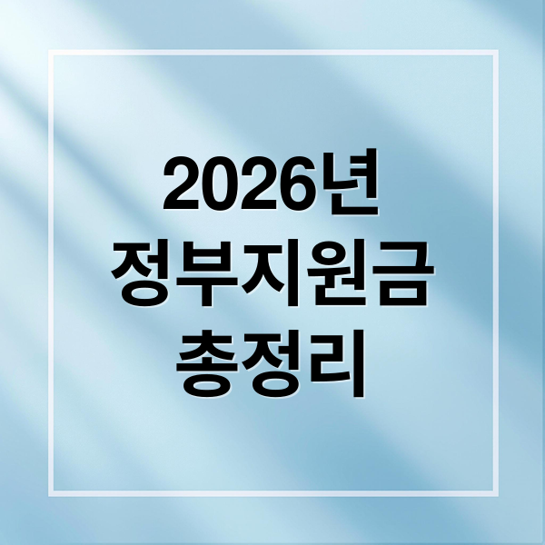 2026년
정부지원금
총정리 (26년도 정부지원금 21가지)