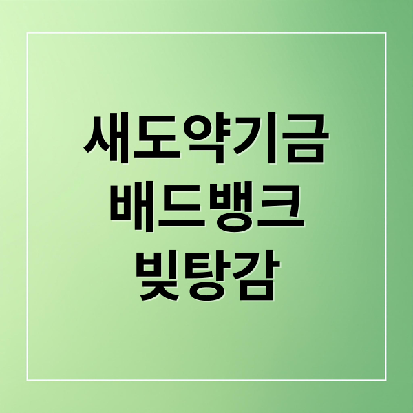 새도약기금
배드뱅크
빚탕감 (배드뱅크)