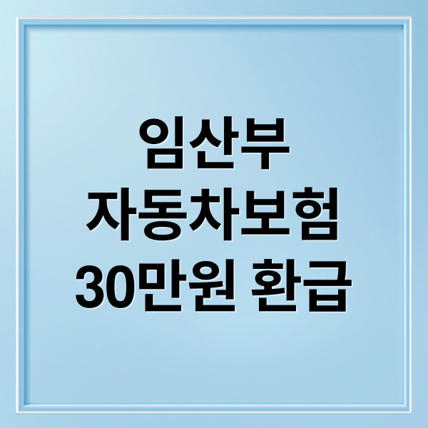 임산부
자동차보험
30만원 환급 (임산부 자동차보험)