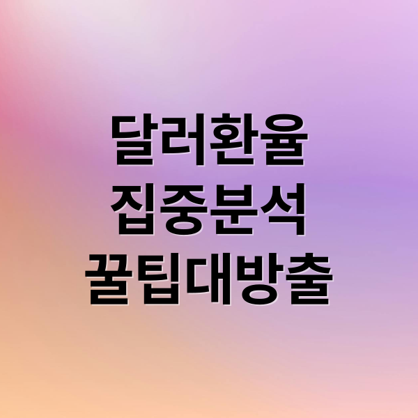 달러환율
집중분석
꿀팁대방출 (달러 환율)