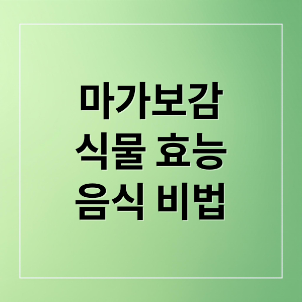 마가보감
식물 효능
음식 비법 (마가보감 효능 가격)
