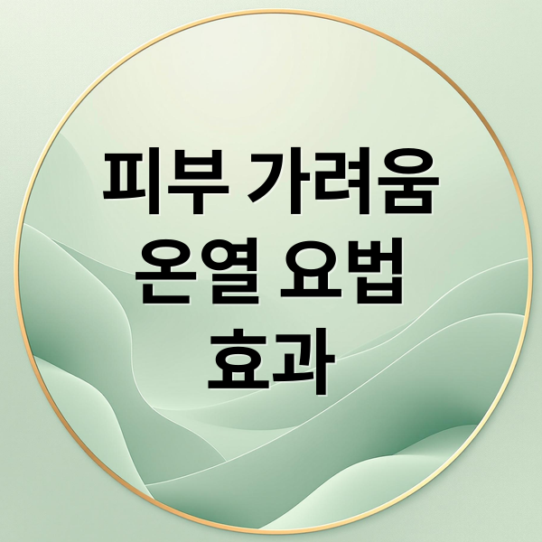 피부 가려움
온열 요법
효과 (피부 가려움증 온열 효과)