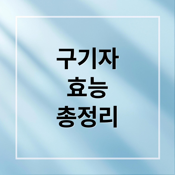 구기자
효능
총정리 (구기자 효능 영양성분)