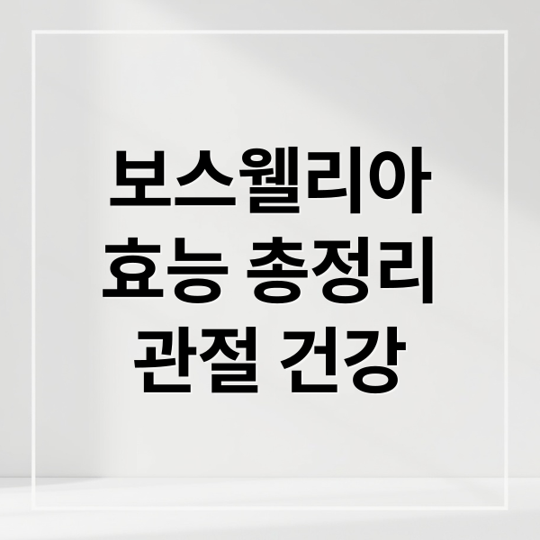 보스웰리아
효능 총정리
관절 건강 (보스웰리아 효능 부작용)