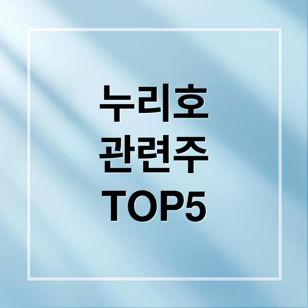 누리호
관련주
TOP5 (누리호 관련주)