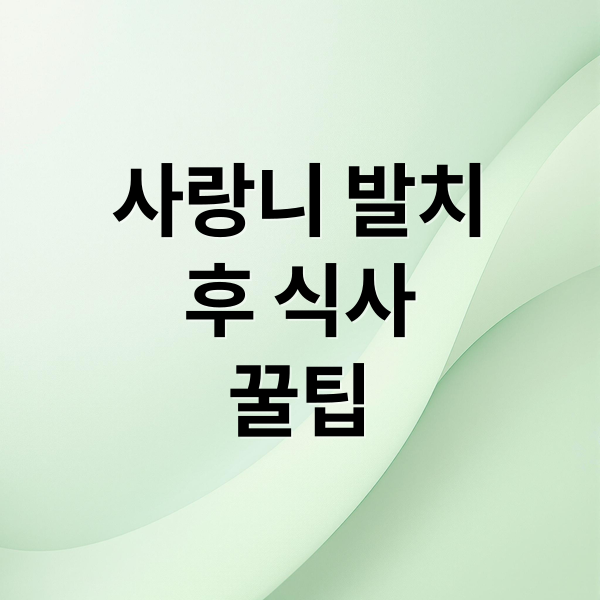 사랑니 발치
후 식사
꿀팁 (매복사랑니 발치 후 식사)